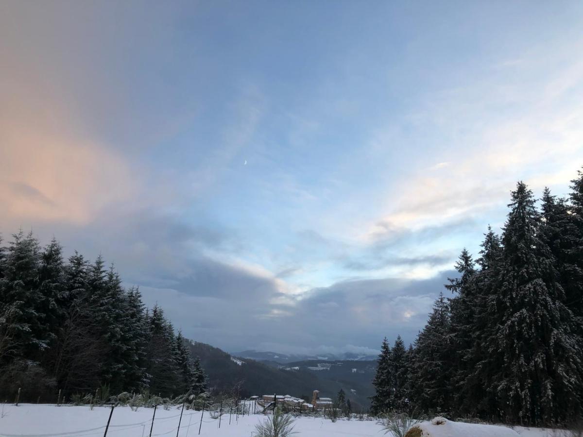 Le Chalet De La Goutte Saint-Appolinaire  Esterno foto
