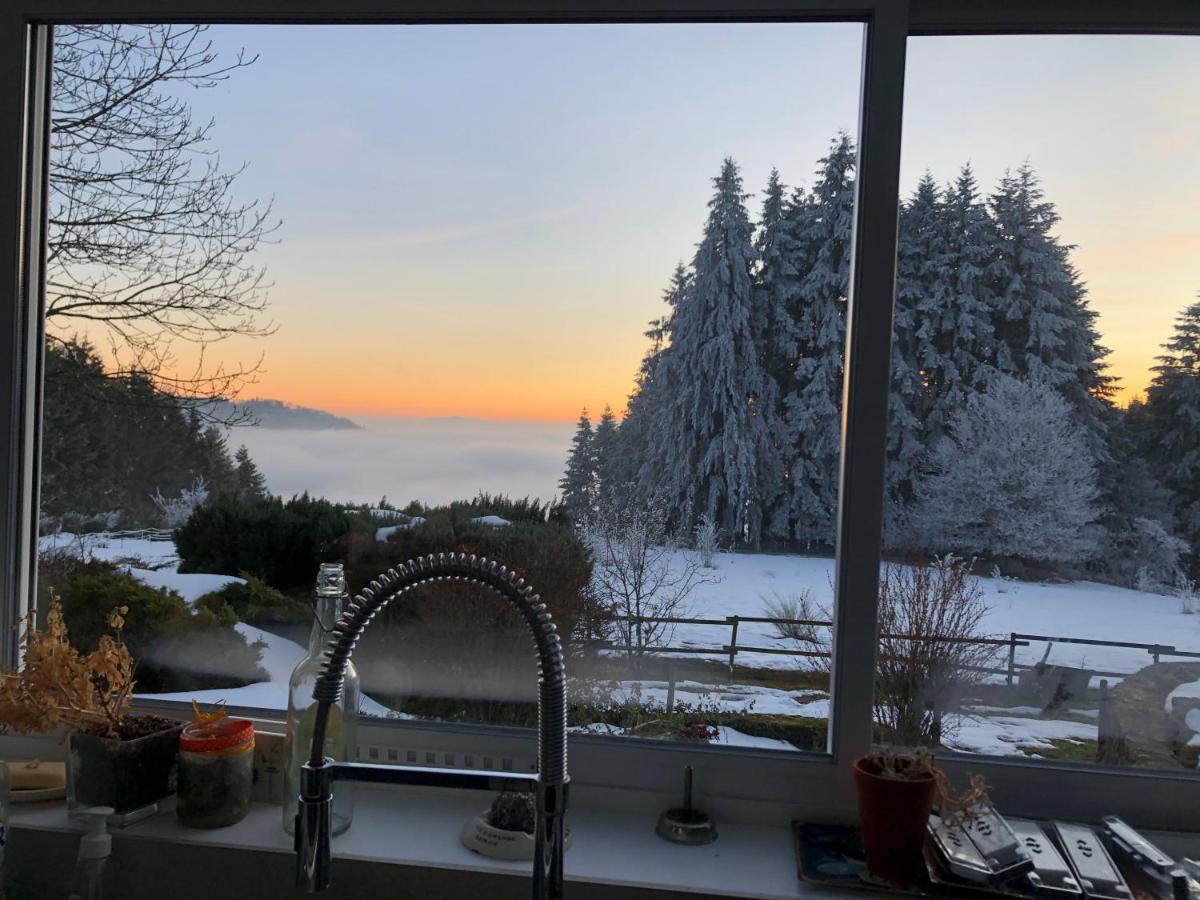 Le Chalet De La Goutte Saint-Appolinaire  Esterno foto